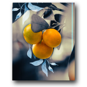 Sweet After the Bitter