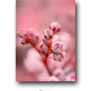 Gentle With Yourself